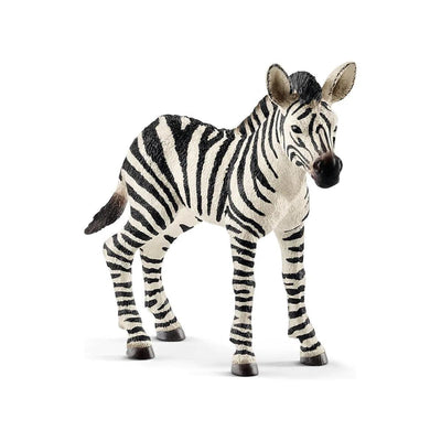 Schleich - Schleich | Speelfiguur Zebra jong - 14811 - De Hartjesdief